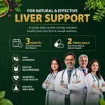Liver Care - Image 5